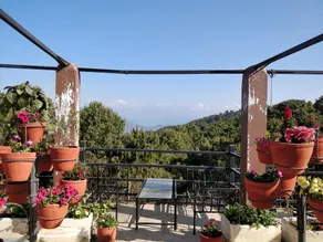 Langtang View Nagarkot Bed and Breakfast - Image 4