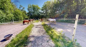 Reiterpension Marlie - Image 5