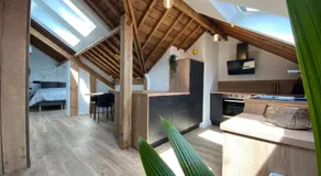 NEW Urban Studio Libramont - Image 2
