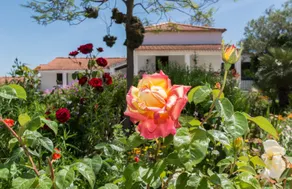 Home Office Living, Farm, South Lisbon, with huge biological pool, close beach - Image 2