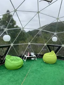 SkyDome - Image 2