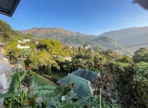 Green Lounge - Image 5