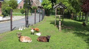 Bed & Breakfast in ons Bakhuis - Image 2