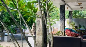The Mango Leaf - Image 4