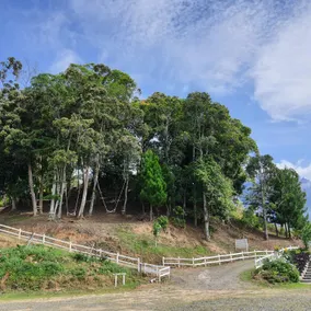 The Hill Kinabalu - Image 5