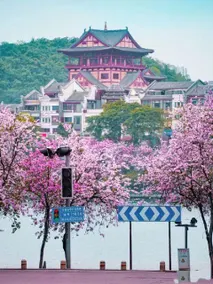 BORRMAN Borrman Hotel (Liuzhou Yaobu Ancient Town The Mixc) - Image 5