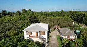 Ani's Green House - Image 3