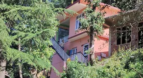 Tree Valley Homestay Chail - Image 5