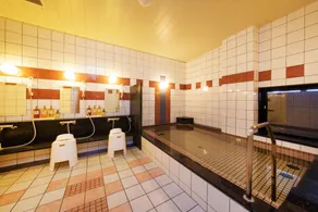 Kyoto Plaza Hotel Annex - Image 4