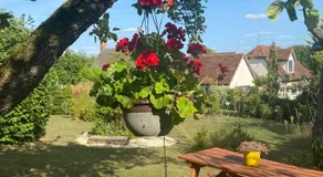 Sunnyside Cottage - Image 3