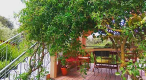 Kefalonia apartments - Marias studios - 2 bedroom apartment in orchard, Spartia - Image 5