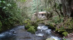 Recinto Natural SEMUK - Image 5