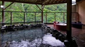 Ashinomaki Grand Hotel - Image 5