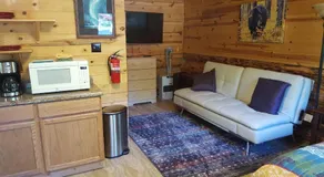 Talkeetna Fireweed Cabins - Image 2