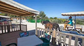 Bungalows-Cortijo Da Luigi-4 adultos-2 Dormitorios-Piscina-Ideal familias-Cártama-Málaga - Image 5