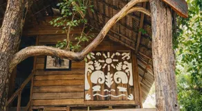 Elephant point tree house - Image 4