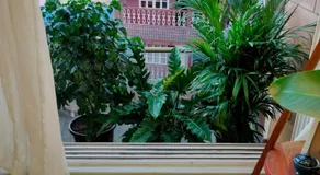 Stay-by-the-bay, 2bed garden apt with lounge bdrm - Image 4