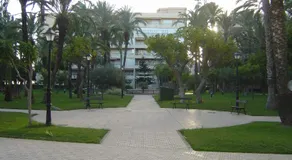 Palmeral de Torrevieja - Image 4