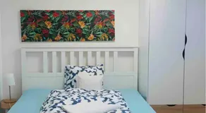 25m2 Studio with Kitchen in Zürich - Image 2