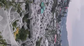 Hotel White Rock Janjehli - Image 4