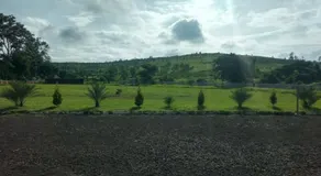 Richmond Hill - Image 4