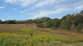 Meadowview Springs Pond View - Image 5