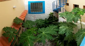 Solar Windelo - Image 3