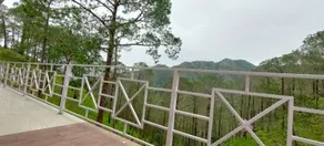 The Green Pine Cottage - Image 4