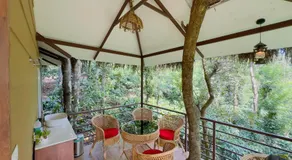 Coffee Cradle Wayanad Luxuorios Private Tree House - Inside 2 Acre Coffee Plantation - Image 2