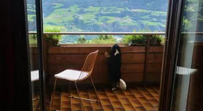 Biogasthaus Plonerhof "sweet Dolomites view" - Image 5