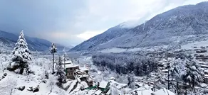 Mighty Manali - A home in the mountains Home-stay - Image 5