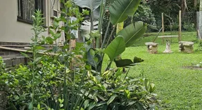 Monkey Heartland - Image 5