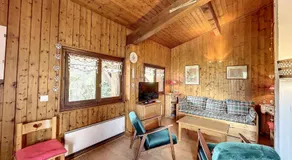 Appartement cosy a Combloux avec parking et cheminee - Image 2