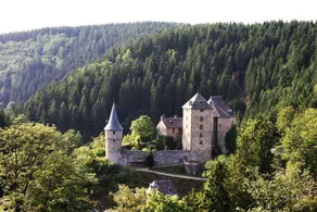 Extravagant Holiday Home in Büllingen with Wellness Centre - Image 4