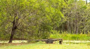 Garden Grove by Tiny Away - Image 5