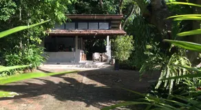 Fern House Retreat - Image 2