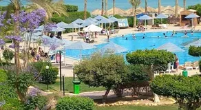 Palmera Beach Chalet - Families Only - Image 4