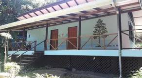 Iguana Libre - Image 4