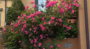 B&B Monte Donato - Image 5