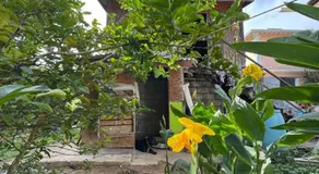 Rasta Rustic Off Grid Cabin - Image 4
