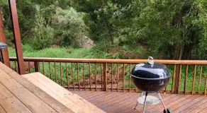 Knysna Holiday Armadillo - Image 4
