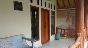 Exotic house - Image 5