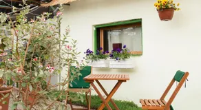 Rastlinky.sk Greenhouse Guestrooms - Image 3