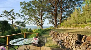 Ribbonwood, Kangaroo Valley - Image 5