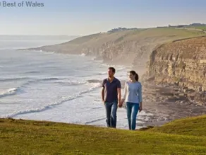 Cysgod y Coed - Image 2