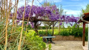 Domaine de la Licorne - Image 3