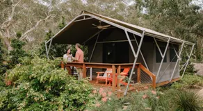 Port Stephens Koala Sanctuary - Image 2