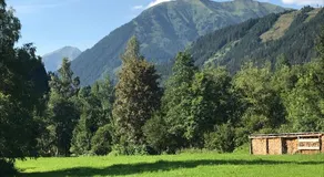 Zum Gamsjäger - by myNests - Image 3