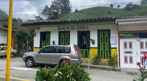 BOSQUE DE NIEBLA - Image 4