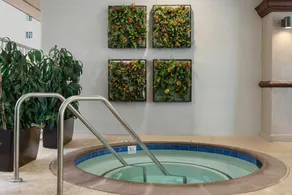 Peacock Suites - Image 3